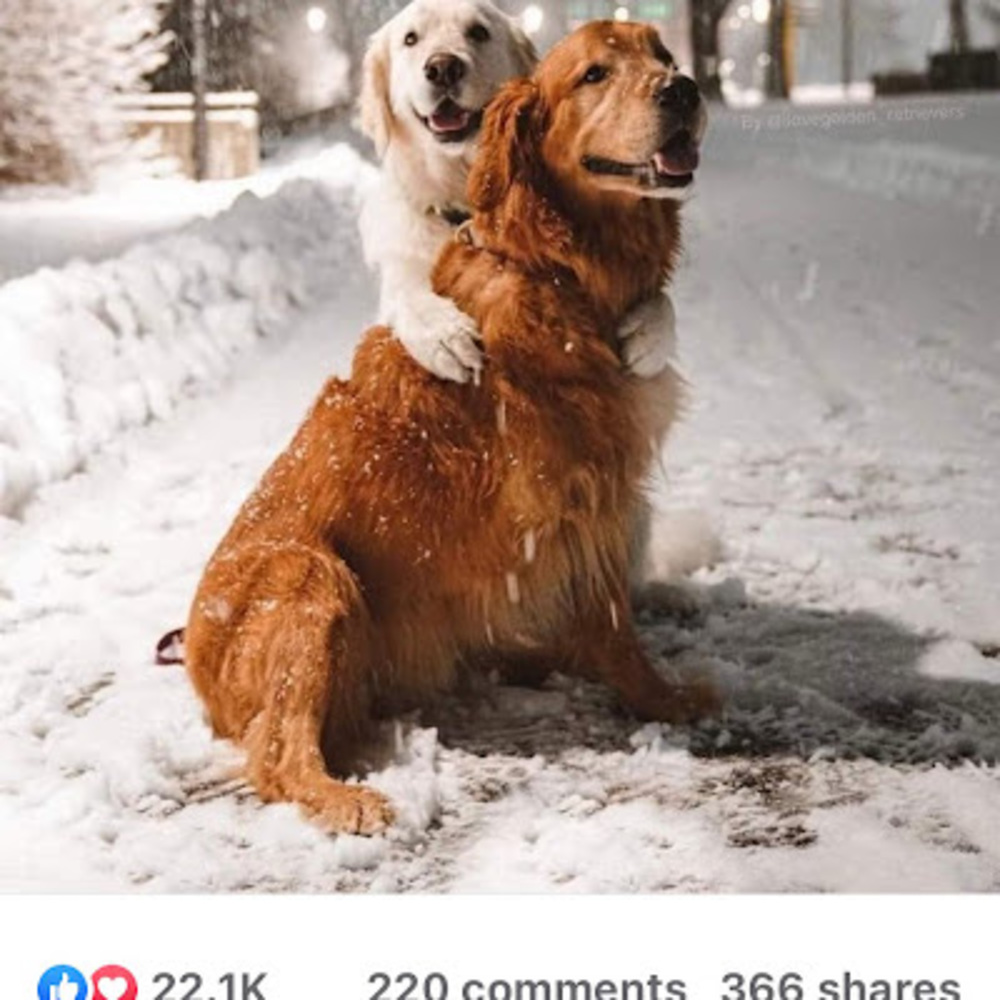 Meet your Posher, Marsha